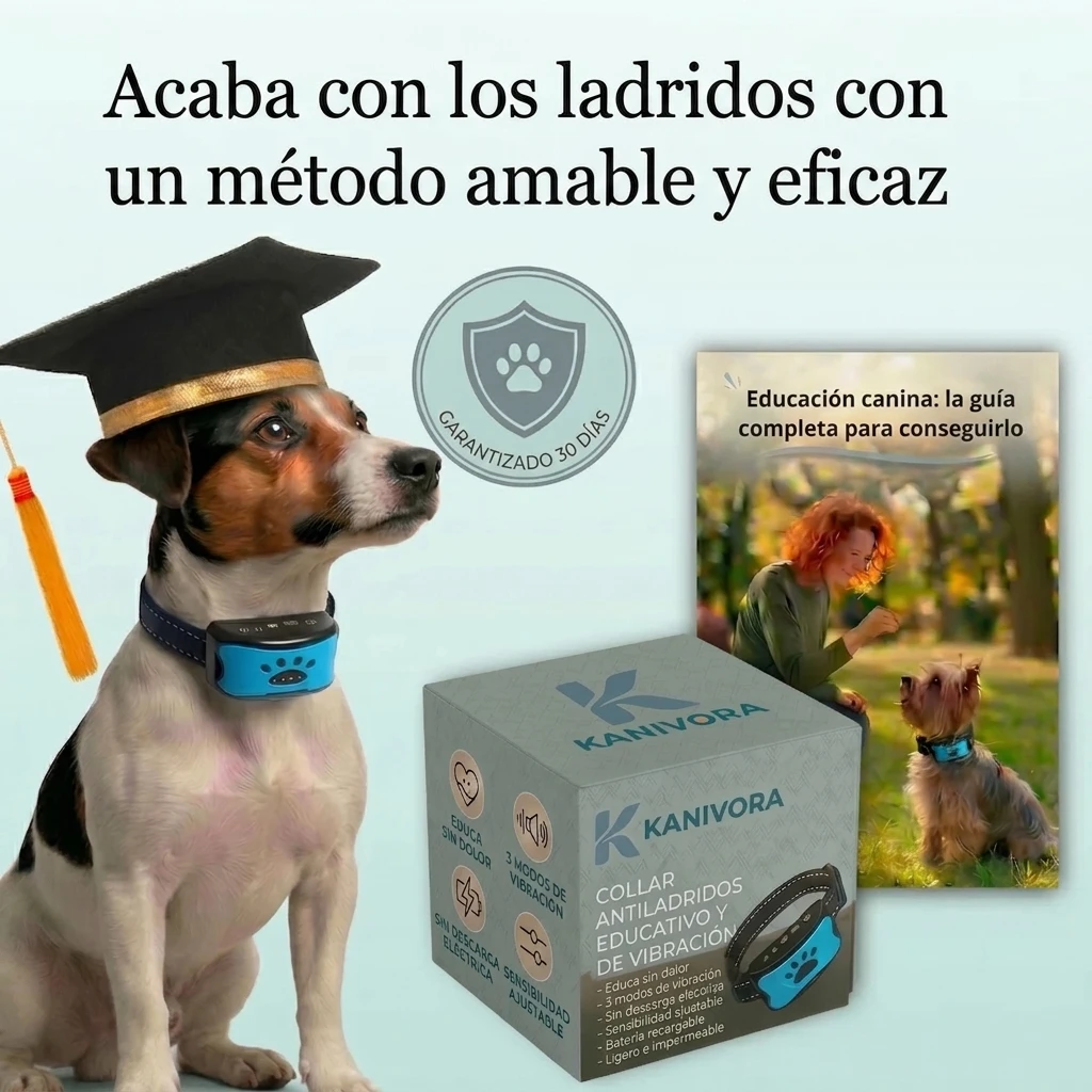 Chien anxieux ? Les 5 vérifications avant d''acheter quoi que ce soit