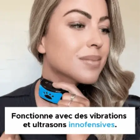 Démonstration du collier anti-aboiement
