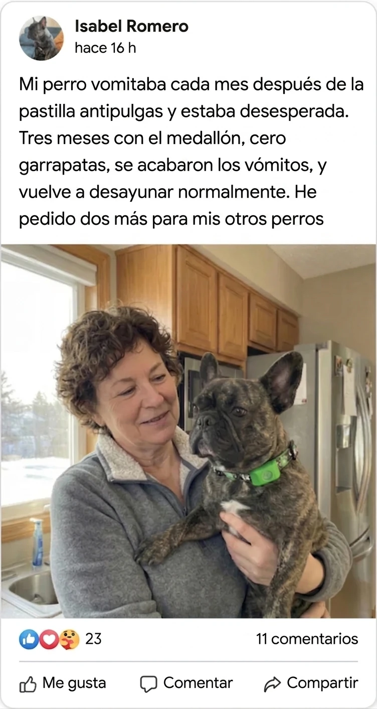 Reseña Facebook — Isabel Romero