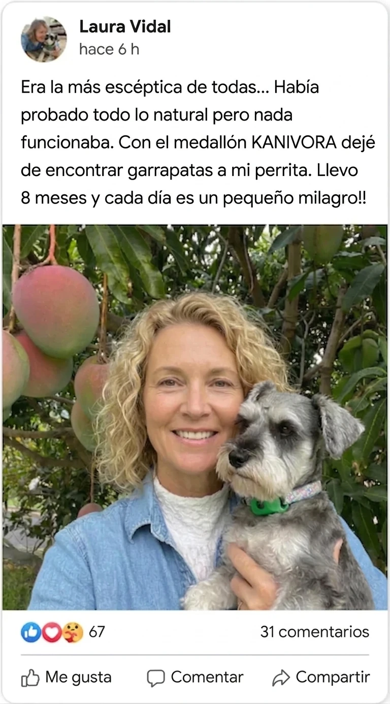 Reseña Facebook — Laura Vidal