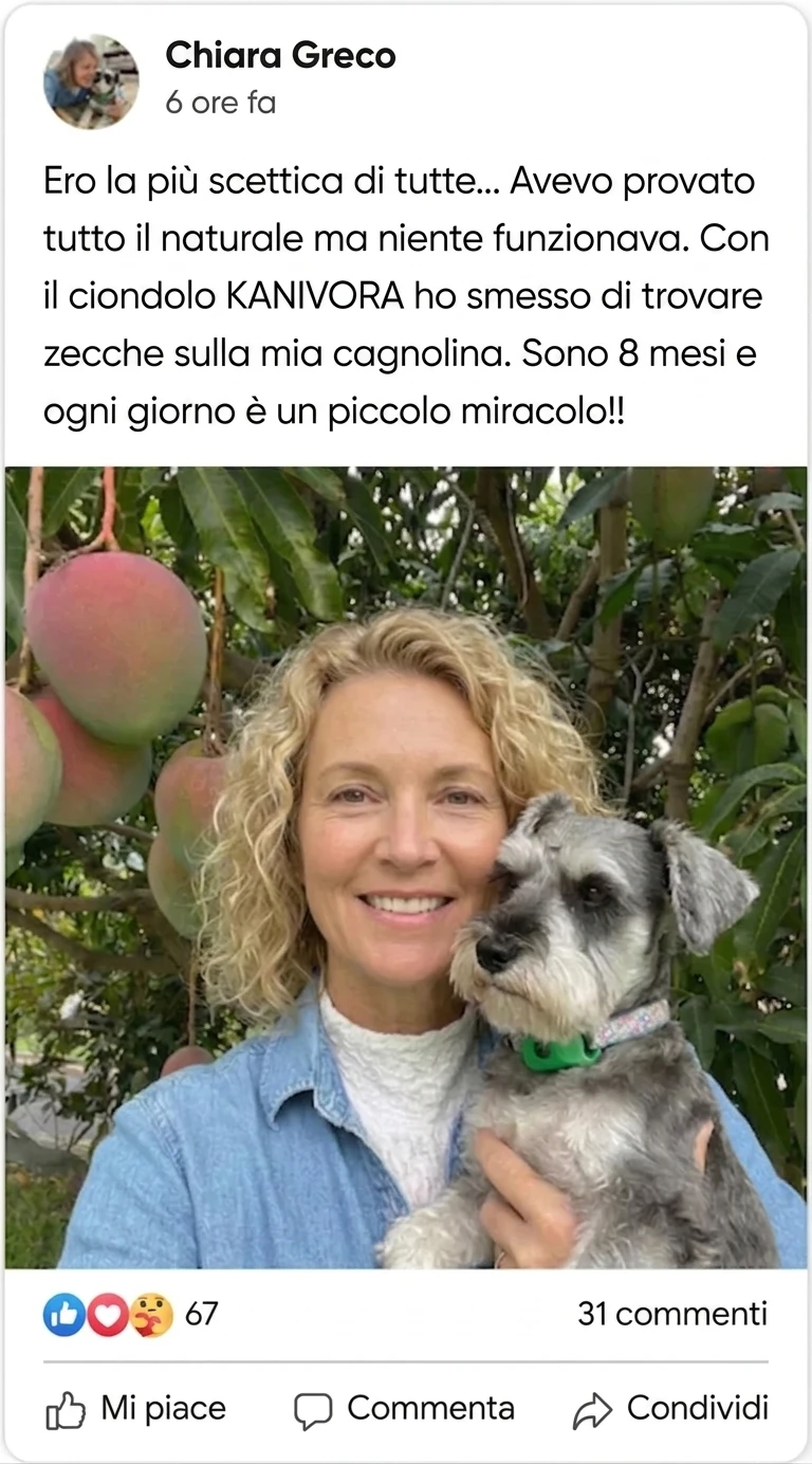 Recensione Facebook — Chiara Greco