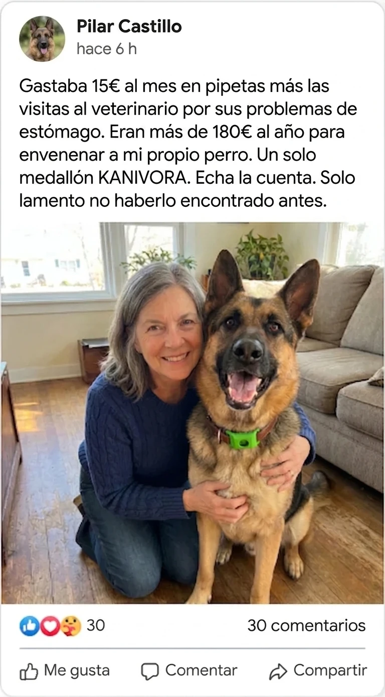 Reseña Facebook — Pilar Castillo