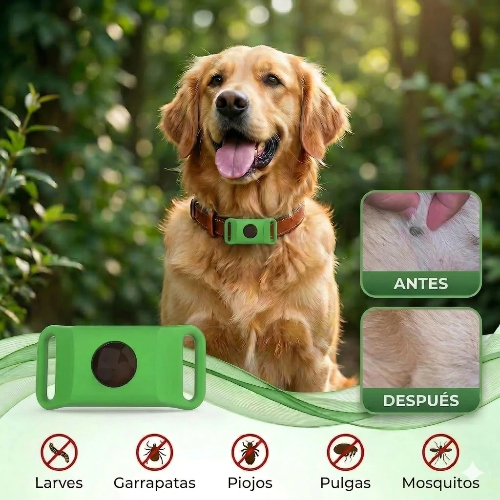 Mon Chien a des Puces : Que Faire ? Le Guide Complet 2026