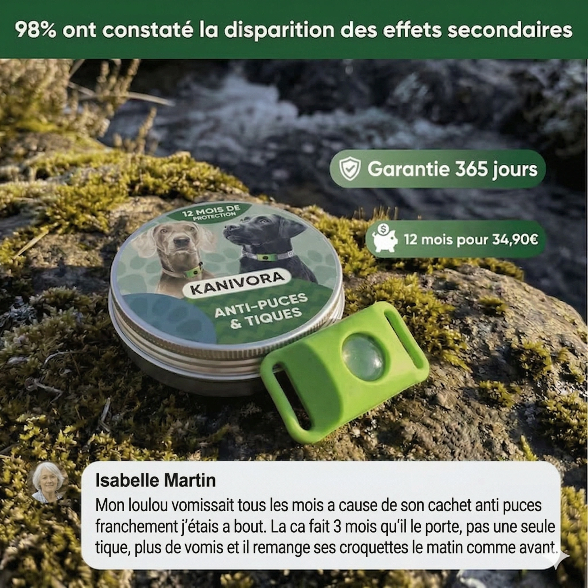 Pendentif Anti-Puces Naturel